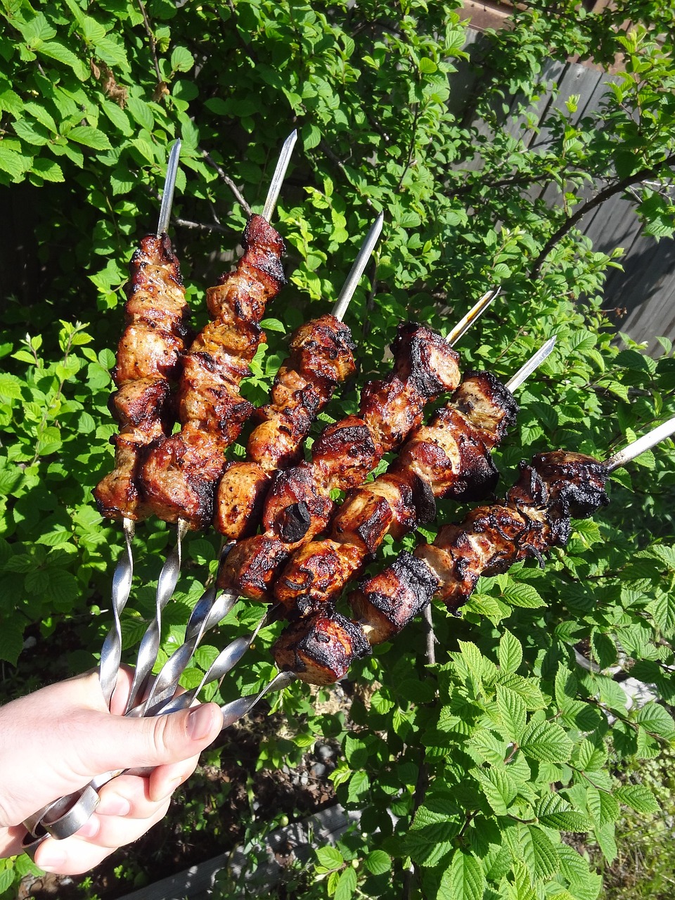 shish kebab 2438669 1280