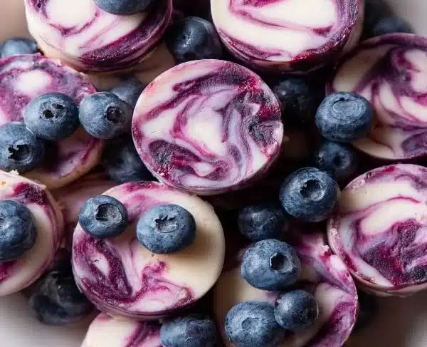 Blueberry Swirl Yogurt Bites