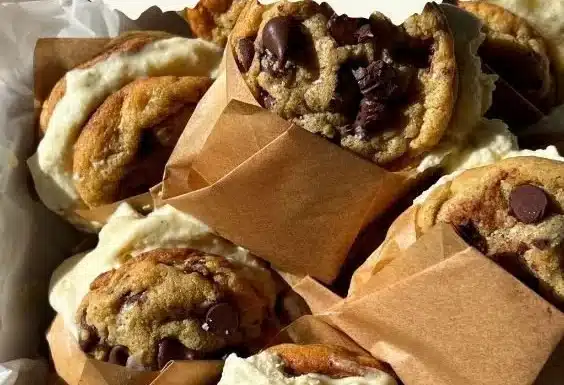 Vanilla Bean Ice Cream Sandwiches Recipe