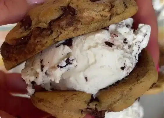 Vanilla Bean Ice Cream Sandwiches Recipe