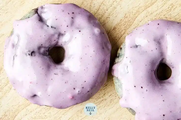 Blueberry Cake Donuts 1 Blueberry Cake Donuts