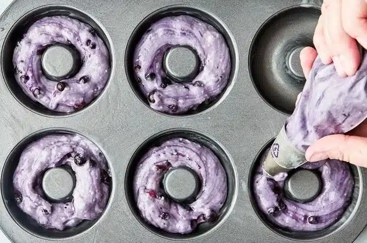 Blueberry Cake Donuts 2 Blueberry Cake Donuts