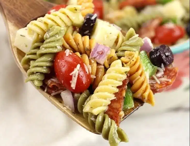 Classic Pasta Salad Recipe 1 Classic Pasta Salad Recipe