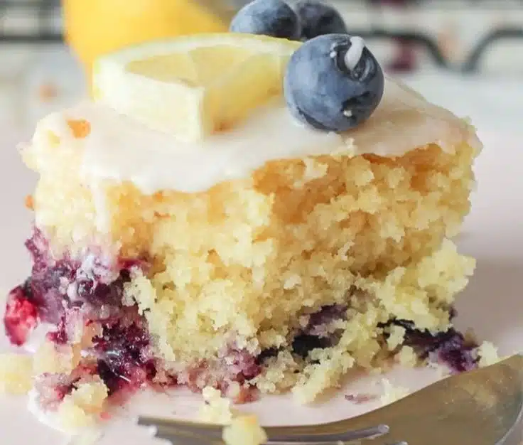 Lemon Blueberry Sheet Cake 1 Lemon Blueberry Sheet Cake