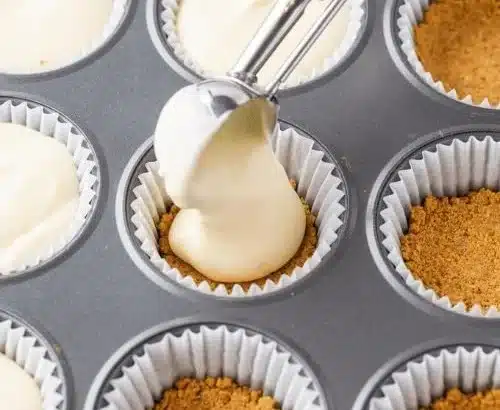Mini Cheesecakes