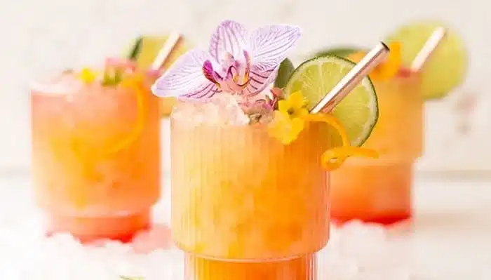 Pineapple Mango Rum Punch in a glass with tropical fruits garnish