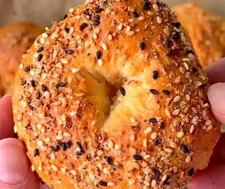 High protein cottage cheese bagels with no yeast on a wooden board