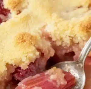 Deliciously moist rhubarb cobbler served in a dish with fresh rhubarb on the side.