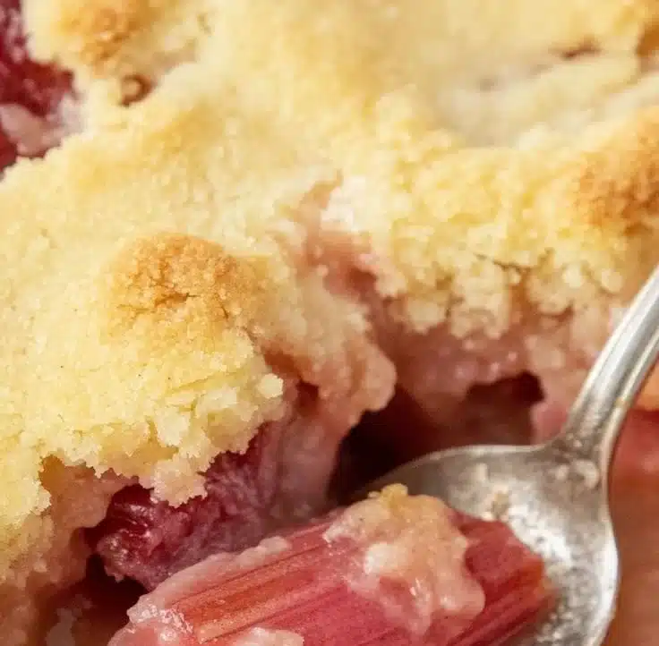 Moist Rhubarb Cobbler