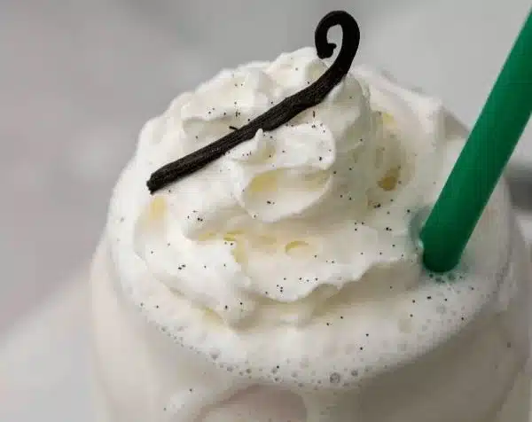 Vanilla Bean Frappuccino NO ICE CREAM