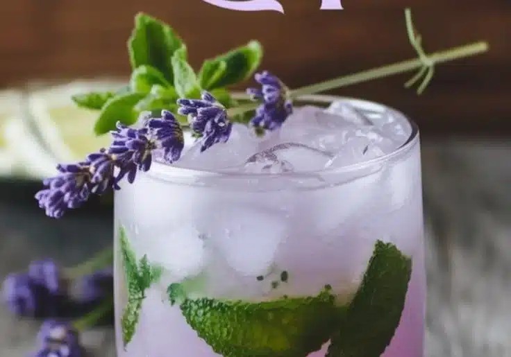 Refreshing Virgin Lavender Mojito cocktail with mint and lavender garnish