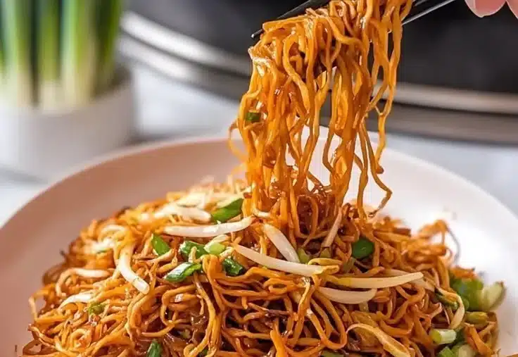 Plate of delicious Cantonese Fried Noodles with vegetables and proteins
