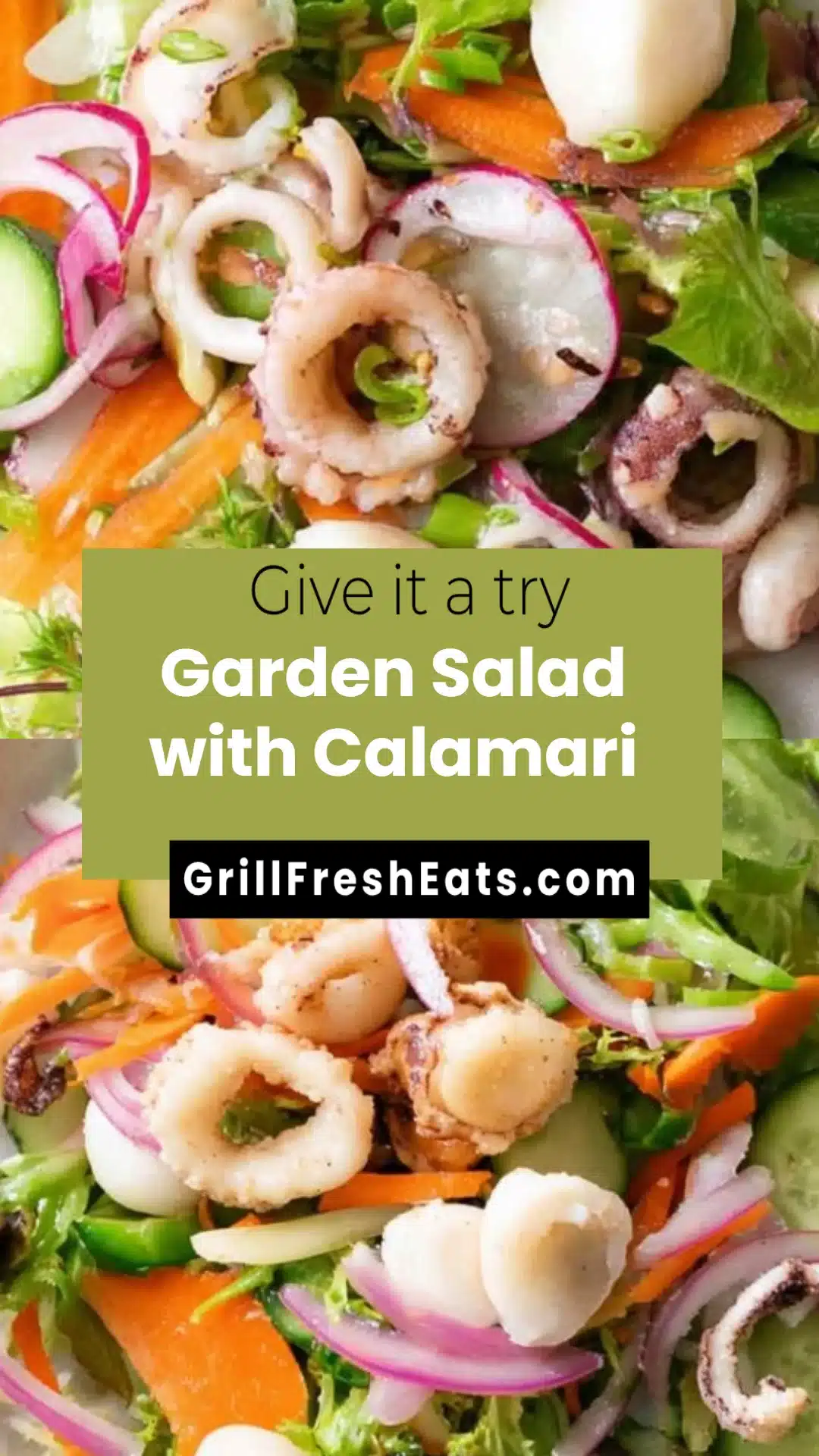 Garden Salad with Calamari