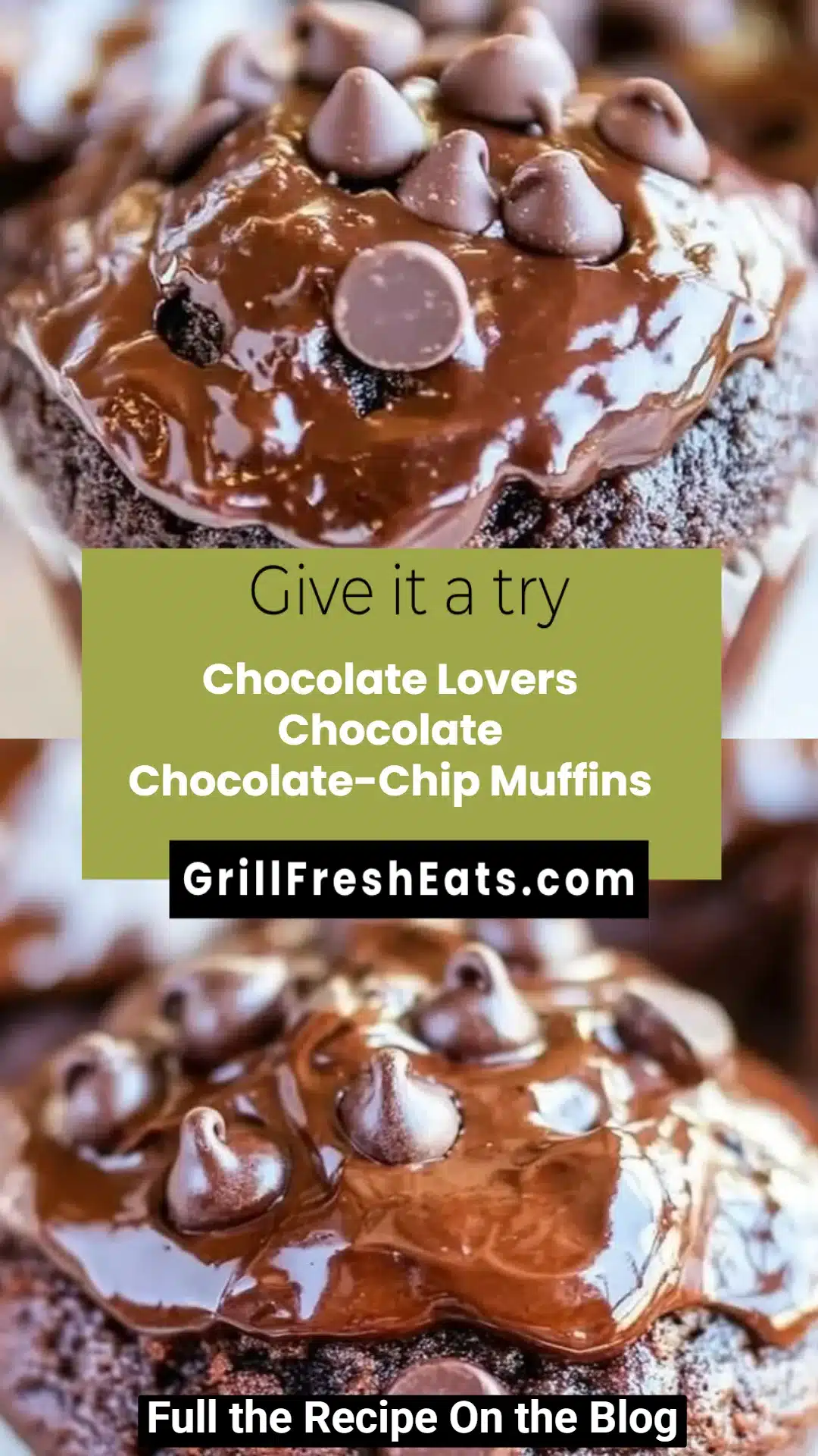 Chocolate Lovers Chocolate Chocolate-Chip Muffins 1 Chocolate Lovers Chocolate Chocolate-Chip Muffins