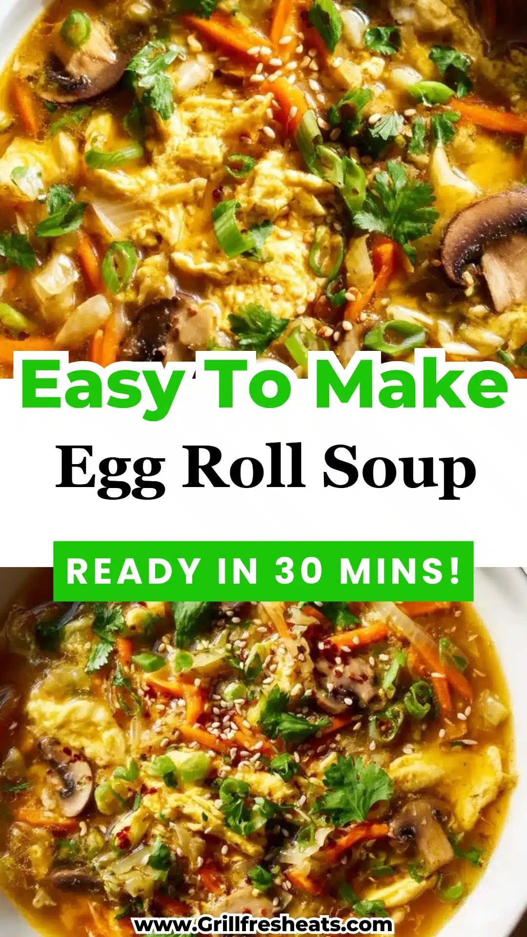 Egg Roll Soup 1 Egg Roll Soup