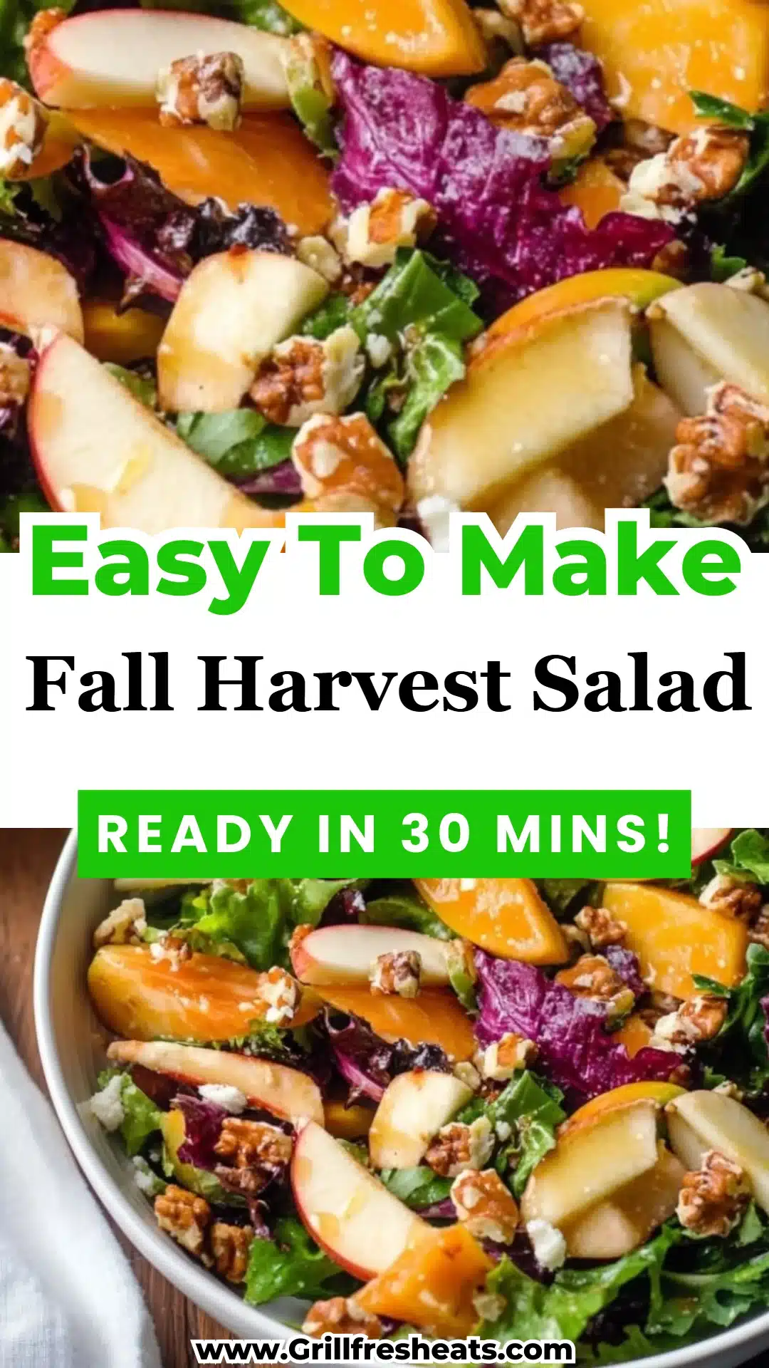 Fall Harvest Salad 1 Fall Harvest Salad
