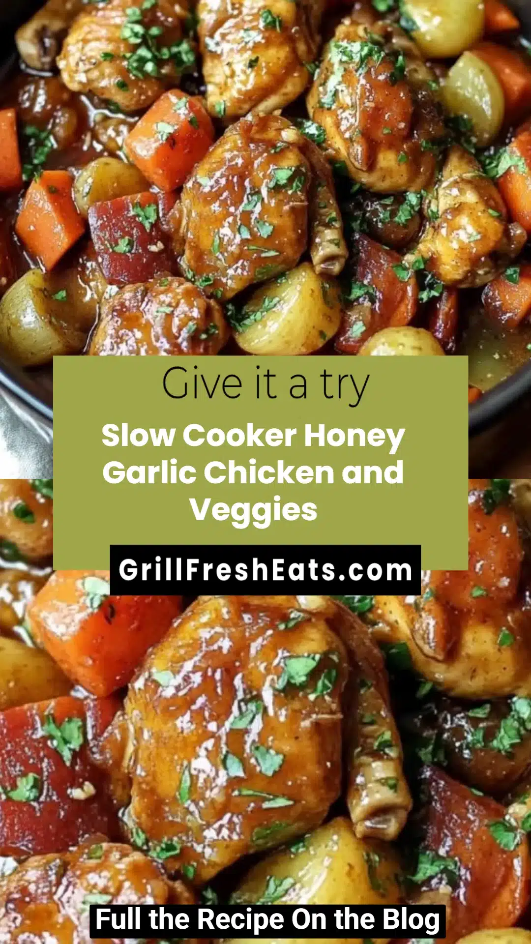 Slow Cooker Honey Garlic Chicken and Veggies